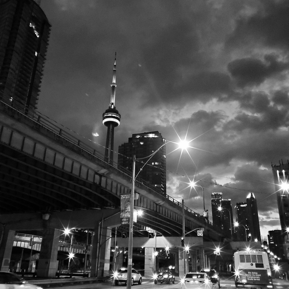 Meet your Posher, Ross - Picture 9 of 10